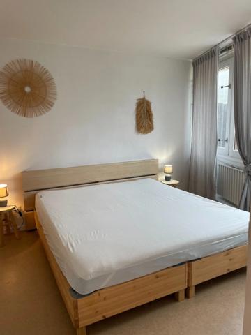 Appartement à vendre 2 pièces LA MONGIE (65) avec balcon, cellier, casier à ski et parking intérieur.