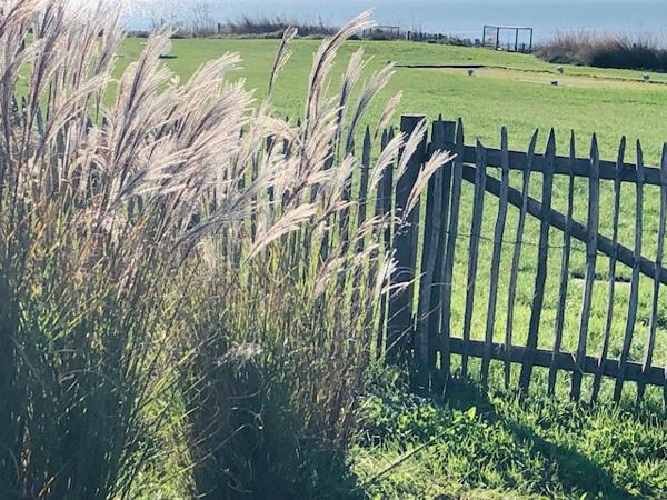 Charme et authenticité des lieux...