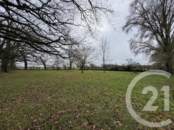 Terrain à vendre  9180 m2 MOUHERS - 36