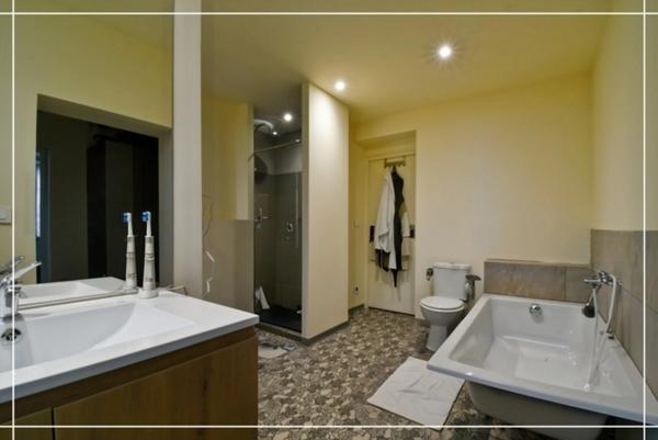 Propriete à vendre 10 pièces CHATEAUMEILLANT (18)