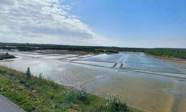 Maison Batz Sur Mer 7 pièce(s) 121.24 m2