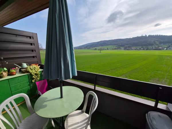 Appartement à vendre T3 bis DOUVAINE (74)