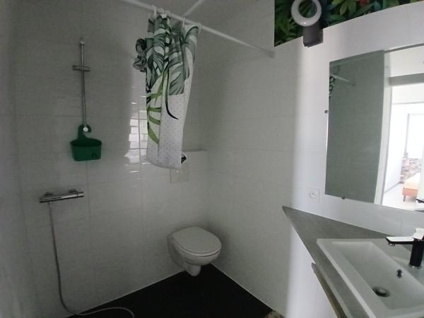 Appartement T4 Laval Centre
