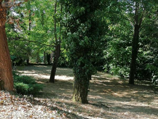 Pavillon à vendre à Descartes dans l'Indre-et-Loire (37160), ref : 082/334