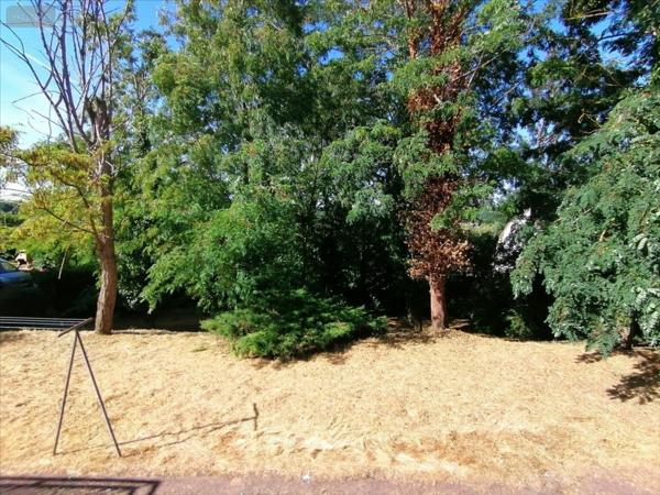 Pavillon à vendre à Descartes dans l'Indre-et-Loire (37160), ref : 082/334