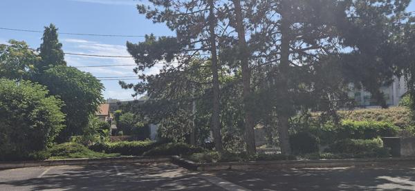 STUDIO 29 m2 FACULTES - Clermont-Province