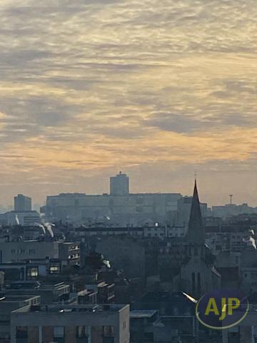 Vente appartement Paris 15eme : 1 250 000 € - AJP Delon Immobilier Grenelle