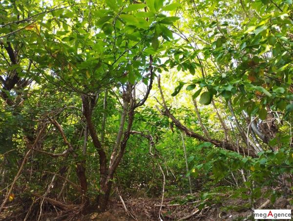 Terrain à ISPAGNAC, 48320 - 4671m²