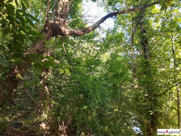 Terrain à ISPAGNAC, 48320 - 4671m²