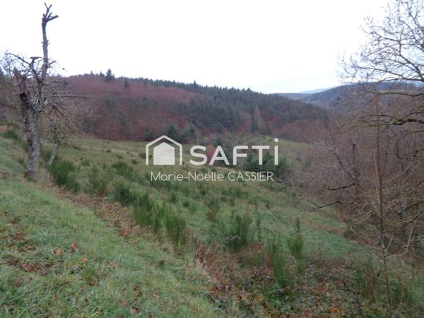 Située entre Lamastre et Vernoux en Vivarais, Ancienne ferme traditionnelle : histoire, charme et fort potentiel