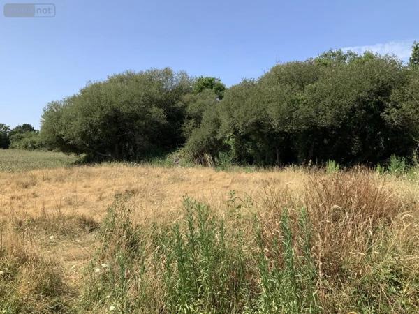Achat - Terrain à bâtir Arzon 56640 651 m 2