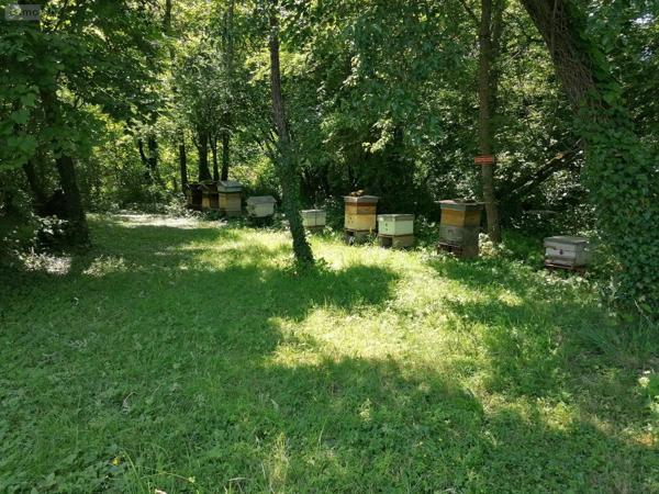 Achat - Maison | Maison à restaurer Montier-en-l'Isle 10200 6 pièces 200 m 2 3053 m 2