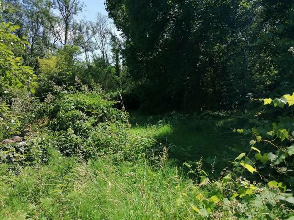 Achat - Maison | Maison à restaurer Montier-en-l'Isle 10200 6 pièces 200 m 2 3053 m 2