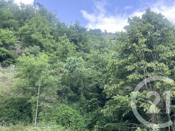 Terrain à vendre  2249 m2 LIMONY - 07