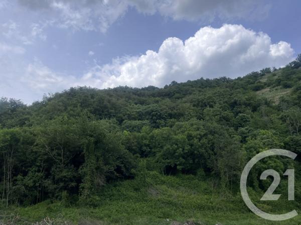 Terrain à vendre  2249 m2 LIMONY - 07