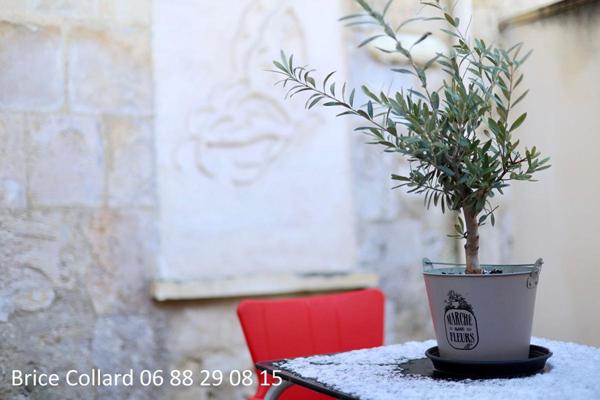 60180 NOGENT SUR OISE Charmante maison de ville 3 chambres + bureau et accès VL