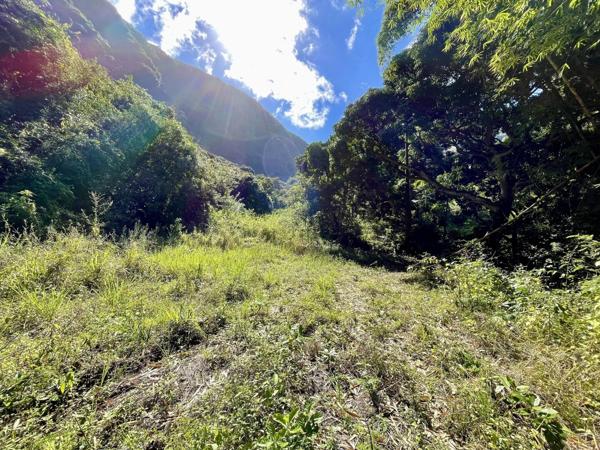 Exceptionnel : Terrain sur 38 600 m2 environ au coeur de La Possession