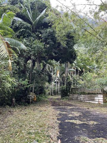 Exceptionnel : Terrain sur 38 600 m2 environ au coeur de La Possession