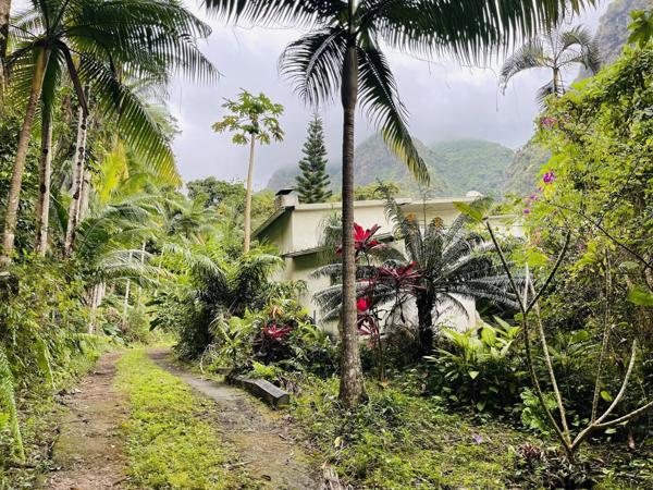 Exceptionnel : Terrain sur 38 600 m2 environ au coeur de La Possession
