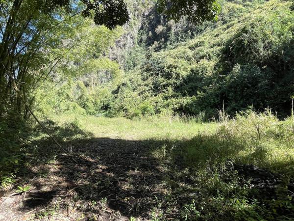 Exceptionnel : Terrain sur 38 600 m2 environ au coeur de La Possession