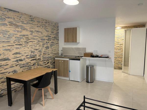 Appartement à louer, 1 pièce - ANGERS 49100