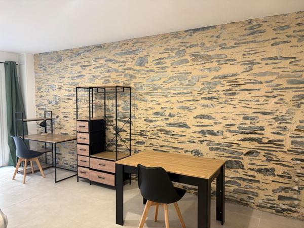 Appartement à louer, 1 pièce - ANGERS 49100