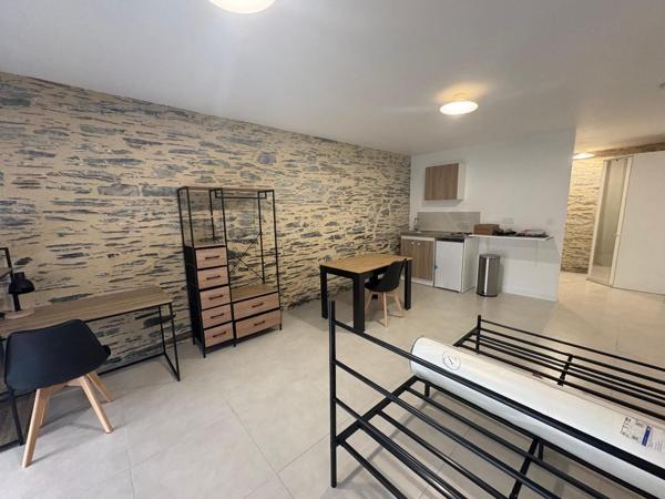 Appartement à louer, 1 pièce - ANGERS 49100
