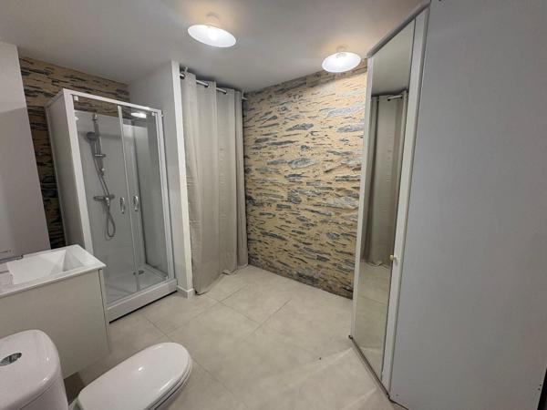 Appartement à louer, 1 pièce - ANGERS 49100