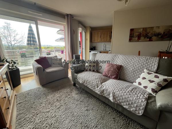 Lons (64140) APPARTEMENT 3 PIÈCES 70 M2 - TERRASSE VUE PYRÉNÉES