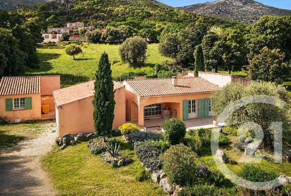 Maison à vendre  6 pièces - 136 m 2   CORBARA  - 202