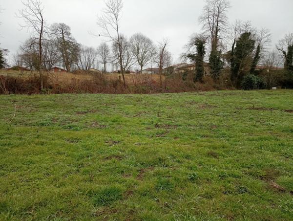 Terrain à vendre    Rion-des-Landes