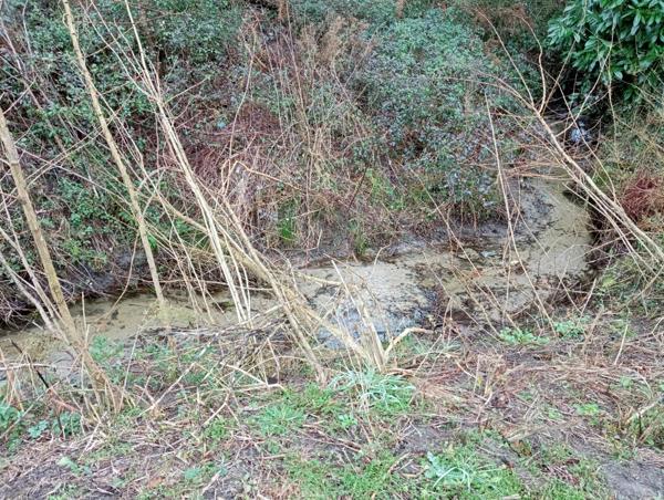 Terrain à vendre    Rion-des-Landes