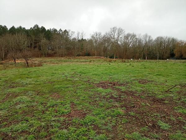 Terrain à vendre    Rion-des-Landes