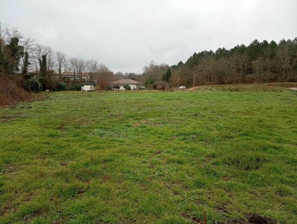 Terrain à vendre    Rion-des-Landes