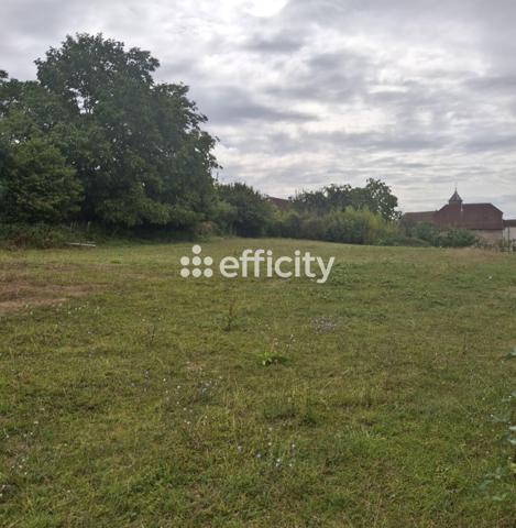 Terrain - 1460 m² Exclusivité efficity