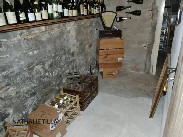 A vendre ORLEANS Dunois, maison bourgeoise avec jardin