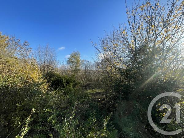 Terrain à vendre  33395 m2 ROUFFIAC D AUDE - 11