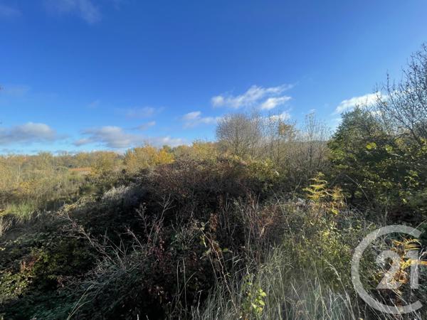 Terrain à vendre  33395 m2 ROUFFIAC D AUDE - 11