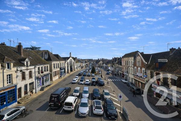 Immeuble à vendre  384 m2 COURTENAY - 45