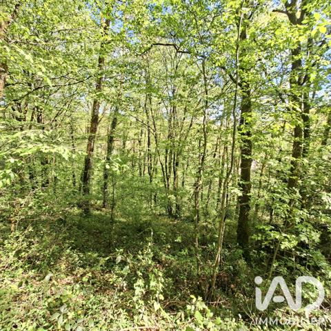 Maison à vendre 6 pièces 97 m² Laguenne-sur-Avalouze