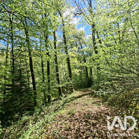 Maison à vendre 6 pièces 97 m² Laguenne-sur-Avalouze