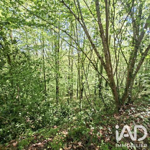 Maison à vendre 6 pièces 97 m² Laguenne-sur-Avalouze