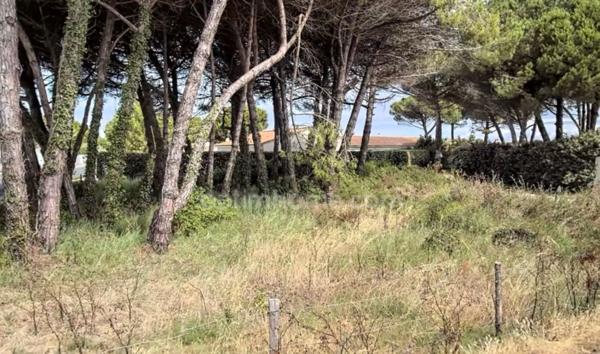Terrain à vendre LE BOIS PLAGE EN RE (17)