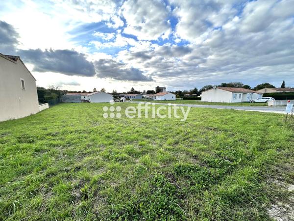 Terrain - 1039 m² Exclusivité efficity