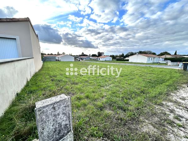 Terrain - 1039 m² Exclusivité efficity
