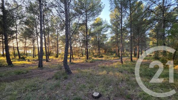 Terrain à vendre  5245 m2 ST MITRE LES REMPARTS - 13