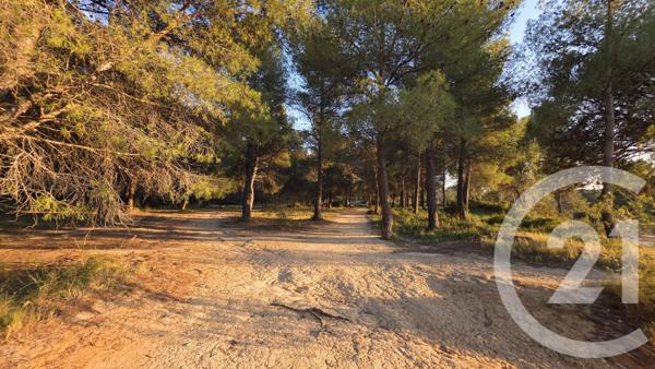 Terrain à vendre  5245 m2 ST MITRE LES REMPARTS - 13