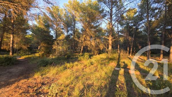 Terrain à vendre  5245 m2 ST MITRE LES REMPARTS - 13