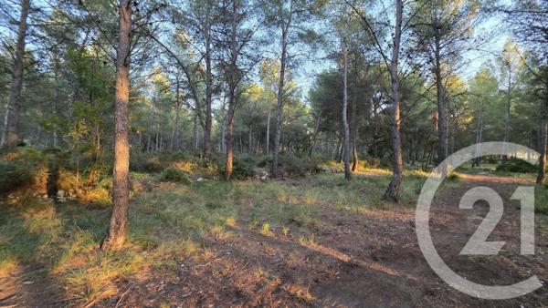 Terrain à vendre  5245 m2 ST MITRE LES REMPARTS - 13