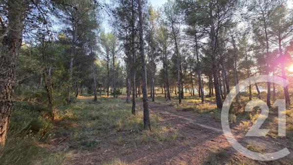 Terrain à vendre  5245 m2 ST MITRE LES REMPARTS - 13